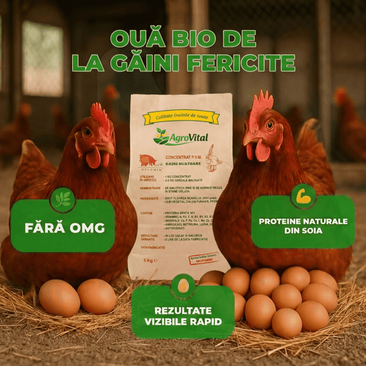 Aditiv Natural Bio pentru Găini- Hrănire și Ouat- 5kg
